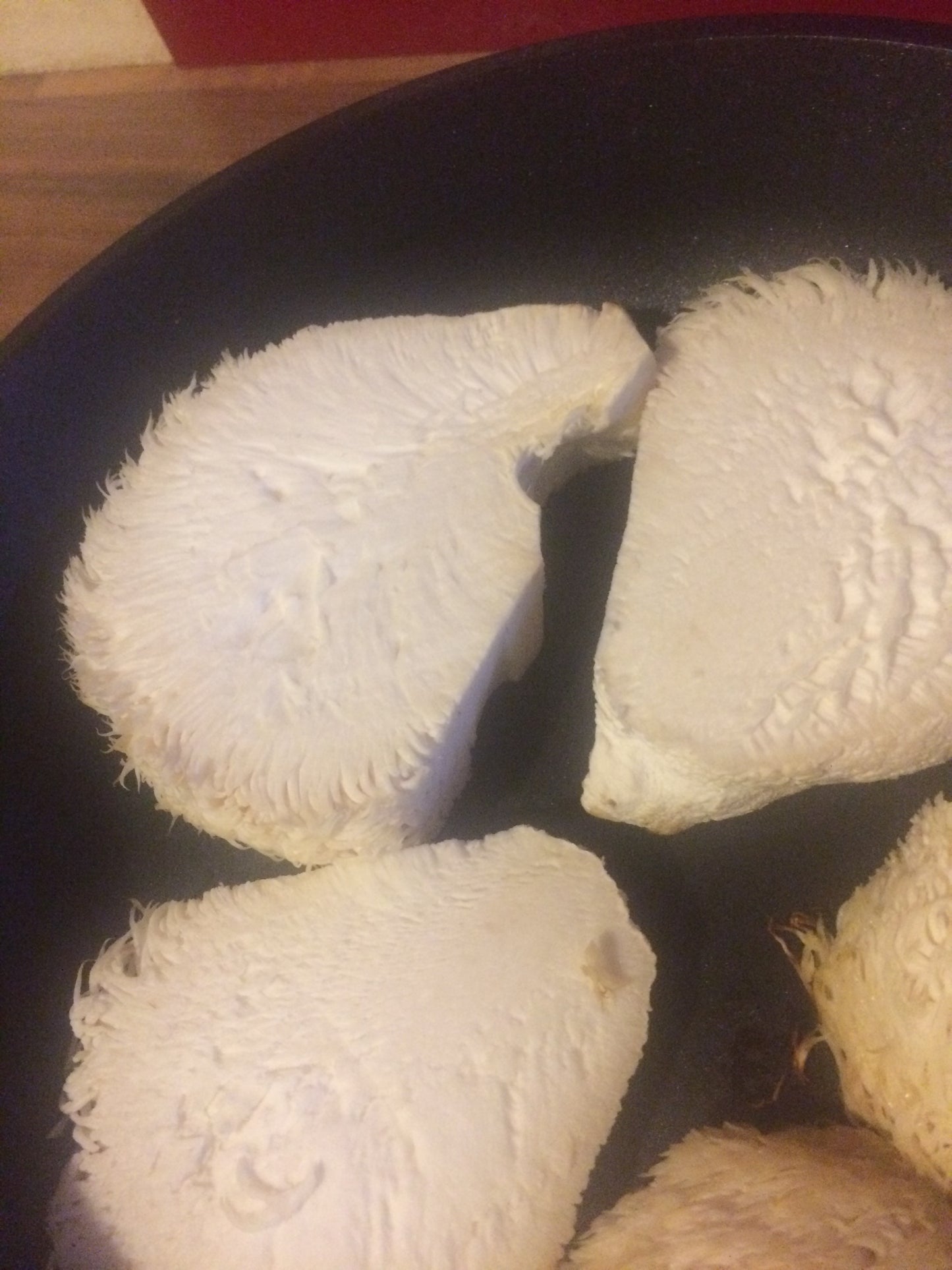 Hydne hérisson (Hericium erinaceus) Bio